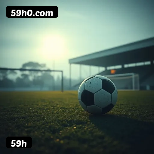 Níveis do programa VIP da 59h